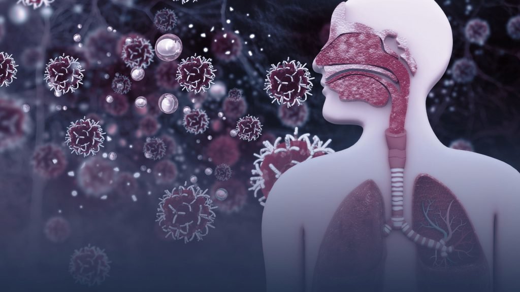 PLPC y activación de IFN-γ: una nueva vía para combatir el cáncer sin inflamación