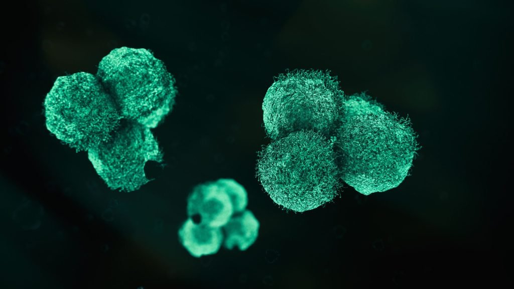 Oncovix valida la estabilidad molecular de PLPC-DEX en entornos tumorales refractarios